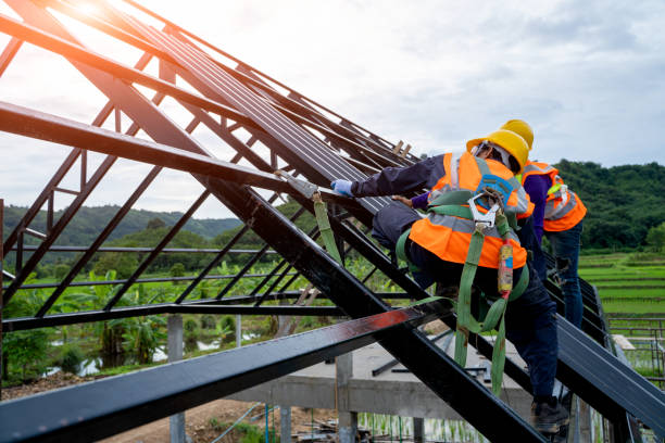 Best Roof Installation Near Me  in Wilson, OK