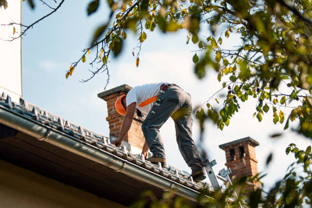 Best New Roof Installation  in Wilson, OK