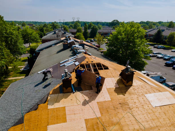 Best Roof Gutter Cleaning  in Wilson, OK
