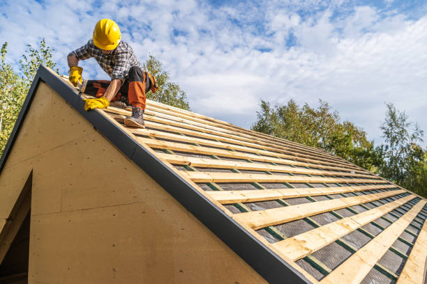Best Metal Roofing Contractor  in Wilson, OK
