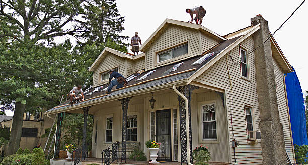 Best New Roof Installation  in Wilson, OK