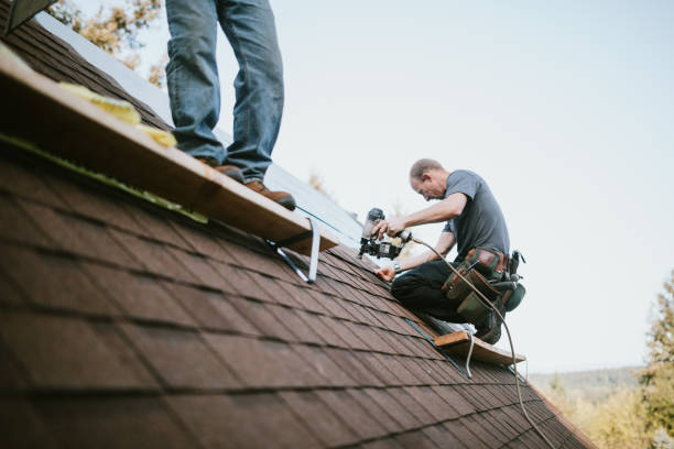 Best Shingle Roofing Installation  in Wilson, OK
